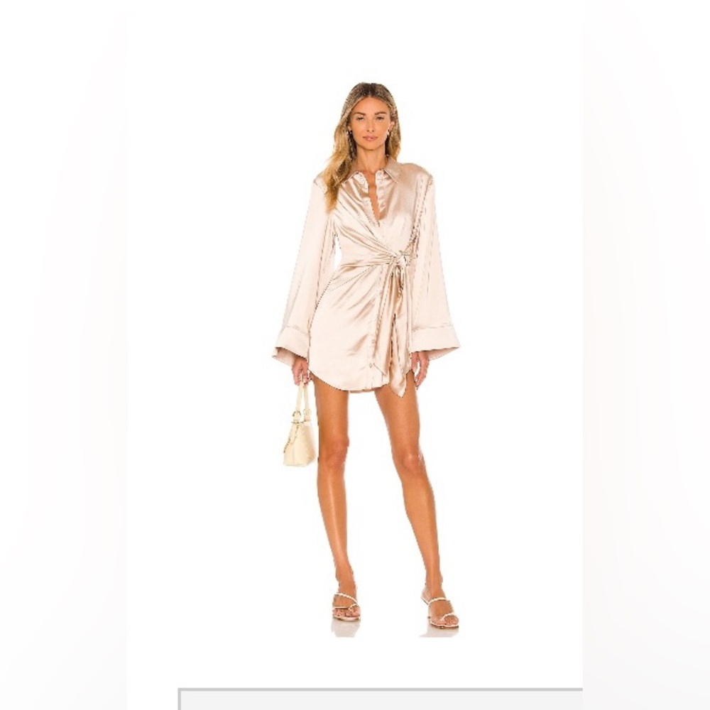 Song of style revolve dress